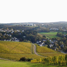 Saar-Mosel-Tal, Конц — фото 5