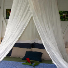 Or bleu-Bungalow volcan Soufriere-Vue sur mer, 圣克洛德 — 照片 2