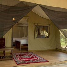 Lorian Safari Camp, Талек — фото 2