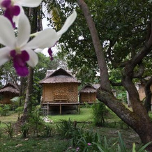 Koh Mook Coco Lodge, 干当 — 照片 3