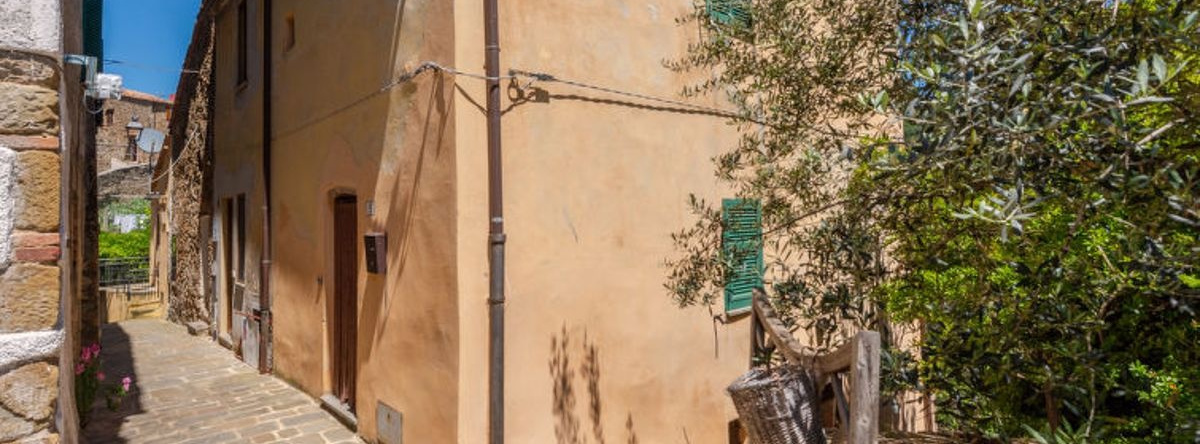 House Vittorio Scansano, 斯坎扎诺 — 照片 1