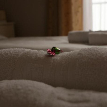 Hotel Zlatá Štika, Пардубице — фото 2