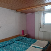 Apartmaji Marinka Hodnik, 博希尼镇 — 照片 2