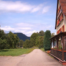 Gasthaus Pension Erlenhof, 阿尔皮尔斯巴赫 — 照片 4
