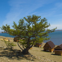 Tojnak Baza Otdyha, 萨尔马 — 照片 4
