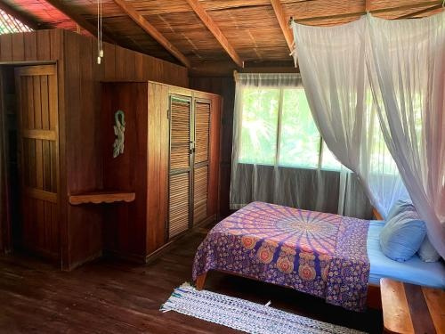 Guaria de Osa Ecolodge, 德雷克湾 — 照片 1