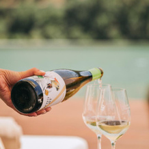 Torel Quinta da Vacaria - Douro Valley, 佩苏达雷瓜 — 照片 5