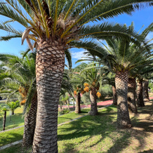 Aristoteles Holiday Resort & Spa, Ouranoupoli — photo 5