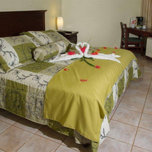 Hotel Sol Papagayo Resort, 帕帕加约 — 照片 4