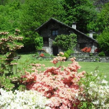 Chalet Le Primule, 普雷米亚 — 照片 5