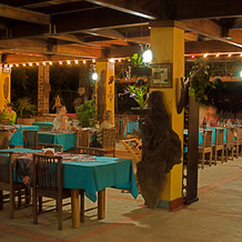 Turrialtico Lodge, 图里亚尔瓦 — 照片 2