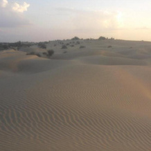 Chandani Desert Resort and Camp, Khochri — photo 2
