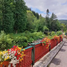 Pension Modrá Hvězda, Мала-Упа — фото 5