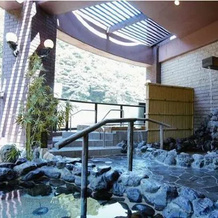 Hotel de Marronnier Yunoyama-Onsen, Komono — photo 2
