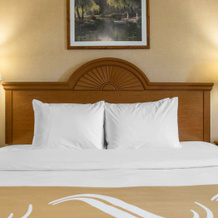 Quality Inn Meadville, Meadville — photo 4