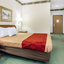 Econo Lodge Cadiz, 加的斯 — 照片 3