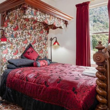 Otira Stagecoach Hotel, 比利斯珀 — 照片 4
