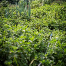 Eco Granja Sostenible Don Lolo, 克萨达 — 照片 3