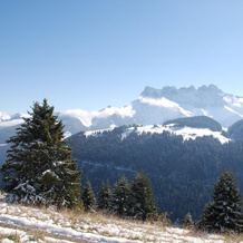 Le Petit Capricornus - 2 Bedroom Villa, Morgins — photo 5