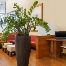 Leonardo Hotel Salzburg Airport, 瓦尔斯-西岑海姆 — 照片 2