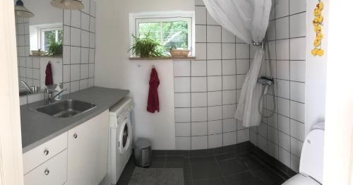 Udsigten Langø, Лолланн — фото 1