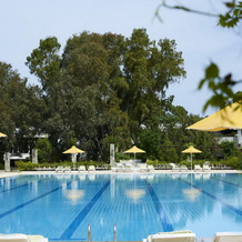 Athos Palace Hotel, 卡利地亚 — 照片 5