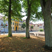 Ferienhaus Wesenberg SEE 5461, 韦森贝格 — 照片 5