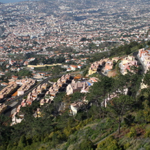 Апартаменты Palheiro Village, Фуншал — фото 3