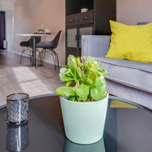 Appealing Apartment in Dokkum for a Romantic Getaway, Dokkum — photo 2