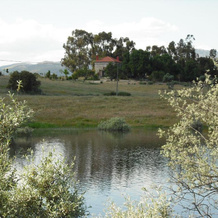 Quinta da Alma Cheia, 布朗库堡 — 照片 5