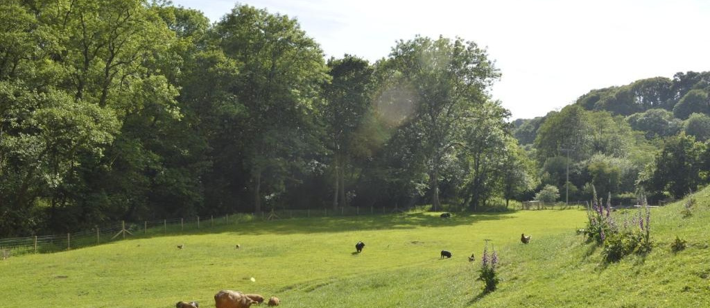 Troedyrhiw Bed & Breakfast, Блананнерч — фото 1