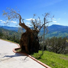 Il Giglio, Pettineo — photo 4