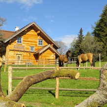 Ferienhaus Bichlhütte, 普吕格恩 — 照片 3