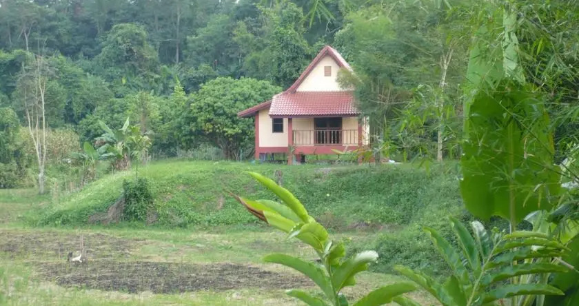 Suancha Tea Garden, Мэ Чан — фото 1