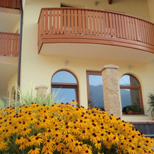 Apartments & Rooms Tempfer, Краньска-Гора — фото 3