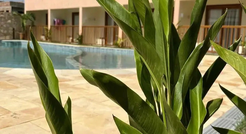 Pousada Deu Praia Maragogi, 马拉戈日 — 照片 1