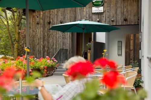 Ferienwohnungen Pension SENFTER, 因内菲尔格拉滕 — 照片 1