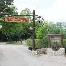 Agriturismo al Ranch, 阿维亚诺 — 照片 4