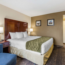 Comfort Inn College Park North, Калвертон — фото 5