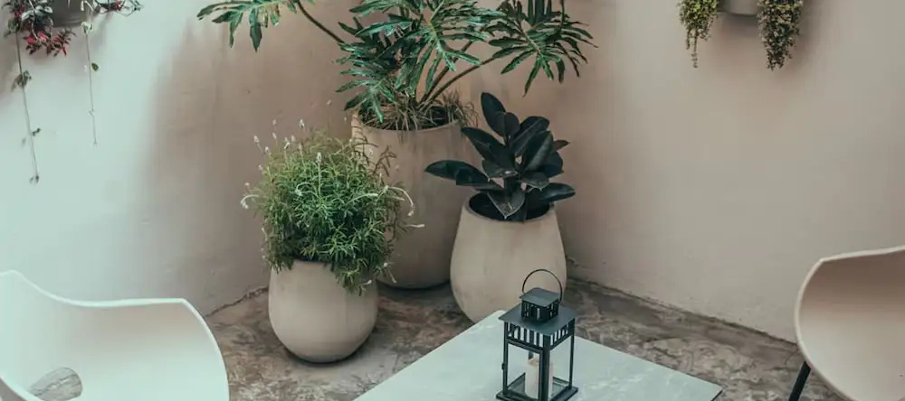 Casa Mitho, Богота — фото 1