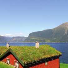 Raaen Hytteutleige 1, Lofthus — photo 3