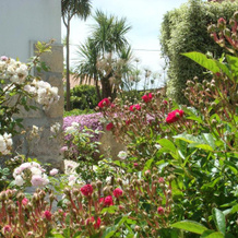Casa De Hospedes Flor Do Jardim, 马夫拉 — 照片 3