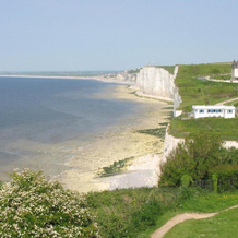 L'Entre 2 Cotes, Le Treport — photo 3