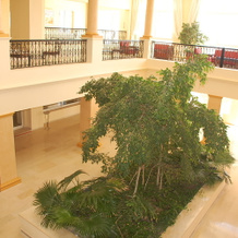 Zephir Hotel & Spa, 扎尔齐斯 — 照片 4