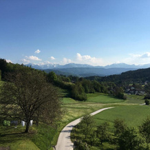 Kollehof, 坎滕的莫斯堡 — 照片 5