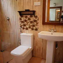 Roman Life Ayurveda Resort, Ваддува — фото 4