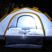 Dove Nest Lodge, Наиваша — фото 4