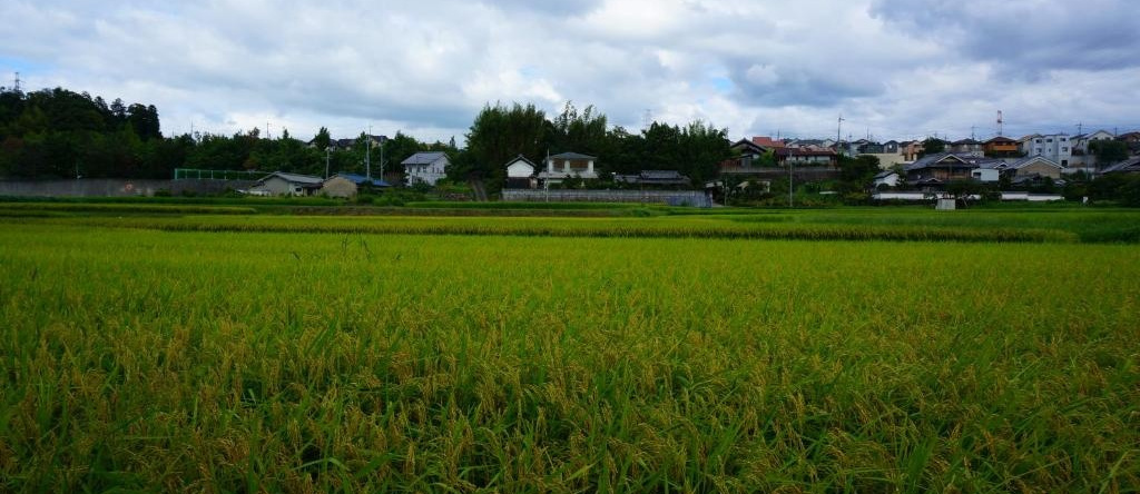 Atelier Bee's Knees Bed & Breakfast, 生驹 — 照片 1
