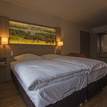 Hotel Wittensee, Грос-Виттензее — фото 4