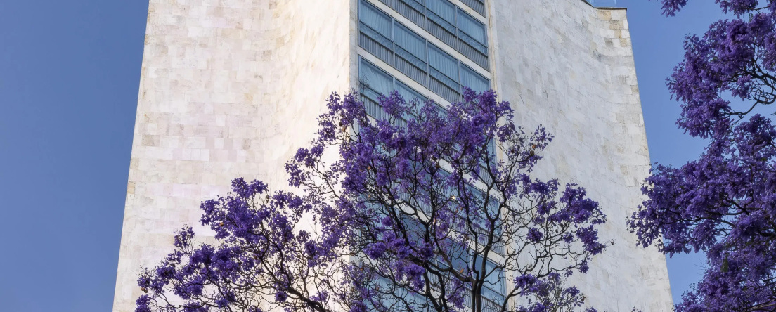Andaz Condesa Mexico City, By Hyatt, 墨西哥城 — 照片 1